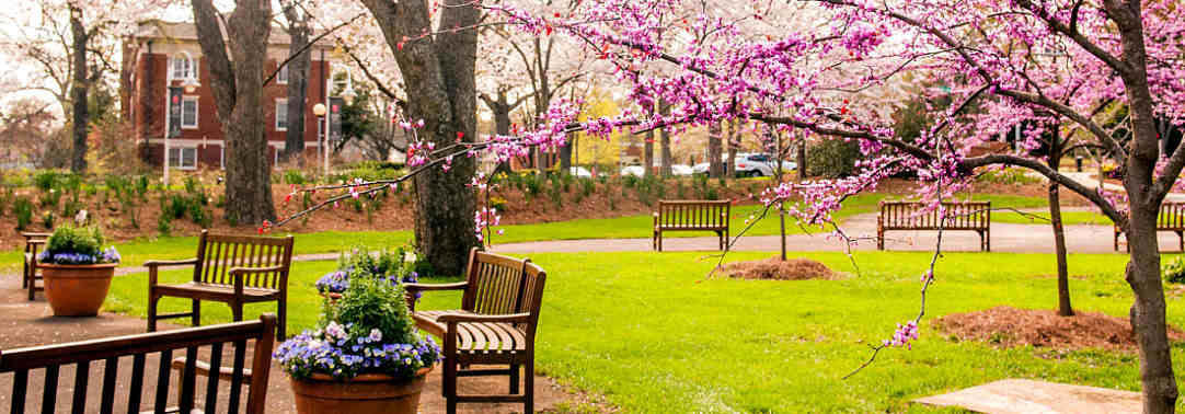 Our Athens, GA hotel is surrounded by beautiful gardens and flowers on campus