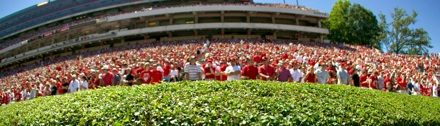 The hedges at Sanford Stadium near the UGA Hotel