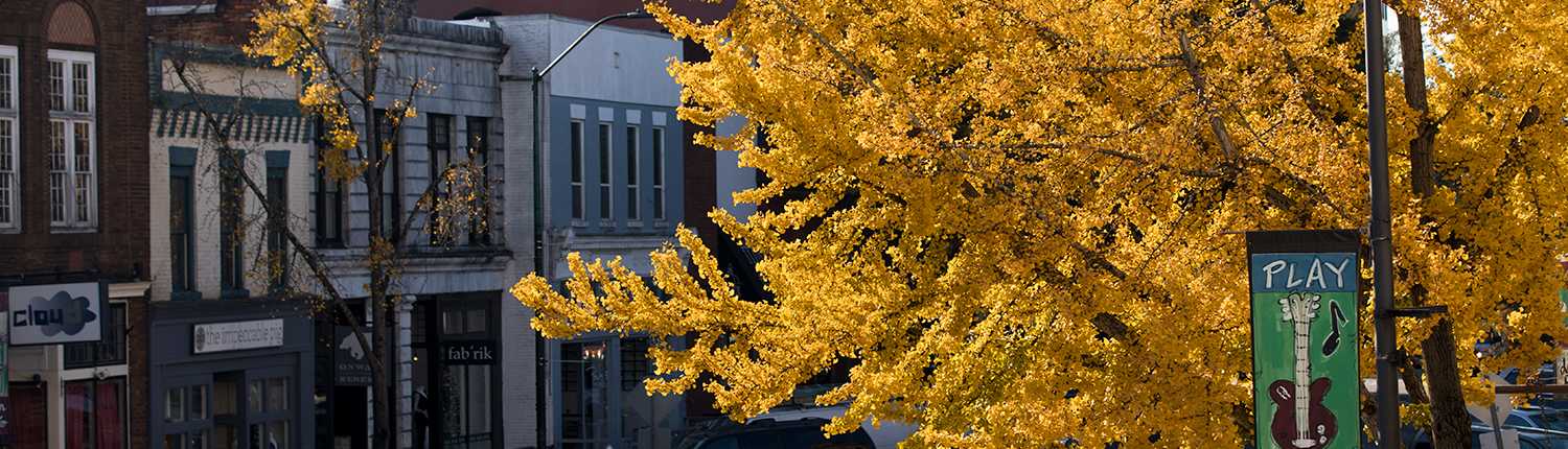 Downtown Athens, Georgia in the Fall