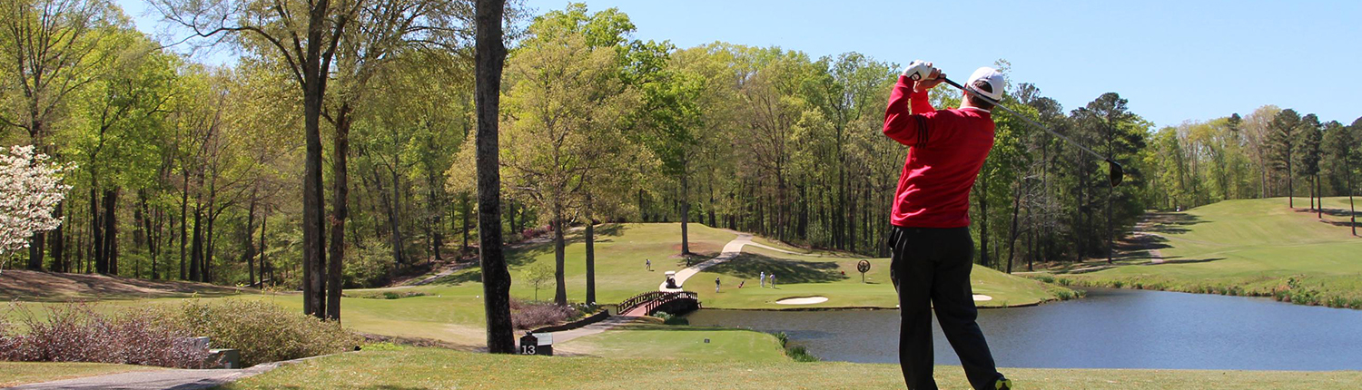 Hotel Amenities - UGA Golf Available