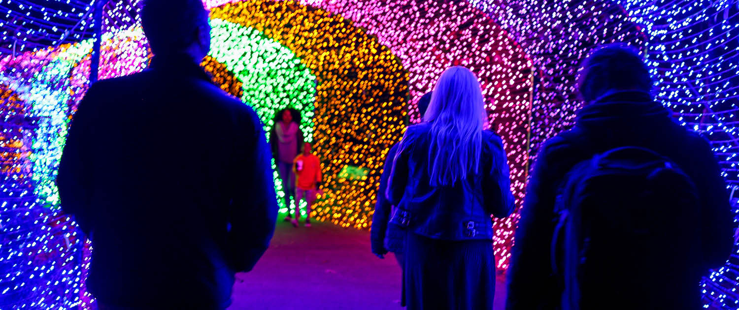 Winter WonderLights in Athens, GA