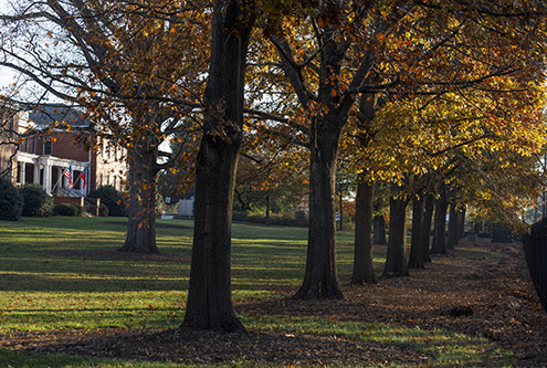 Fall in Athens, Ga