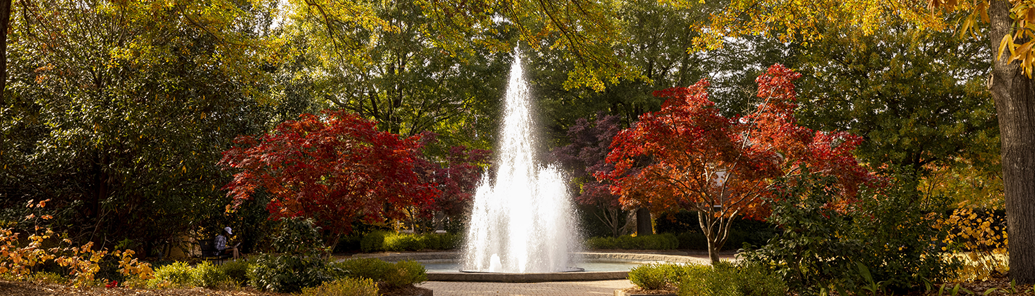 Fall Season in Athens, GA