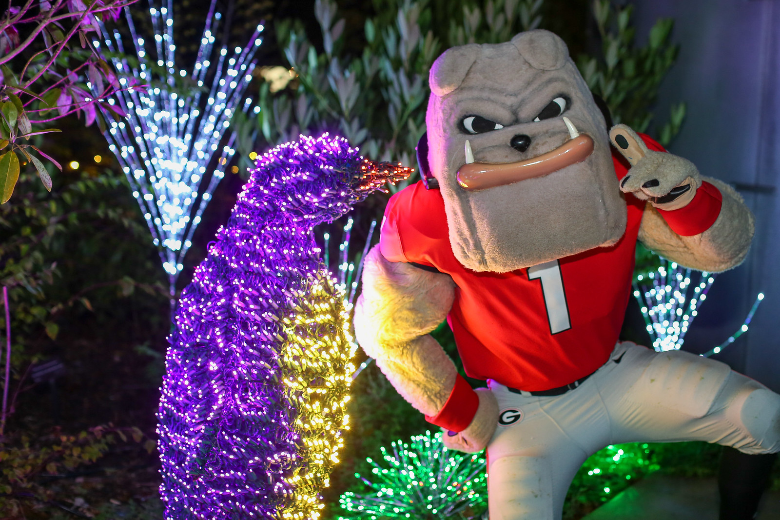 Winter WonderLights