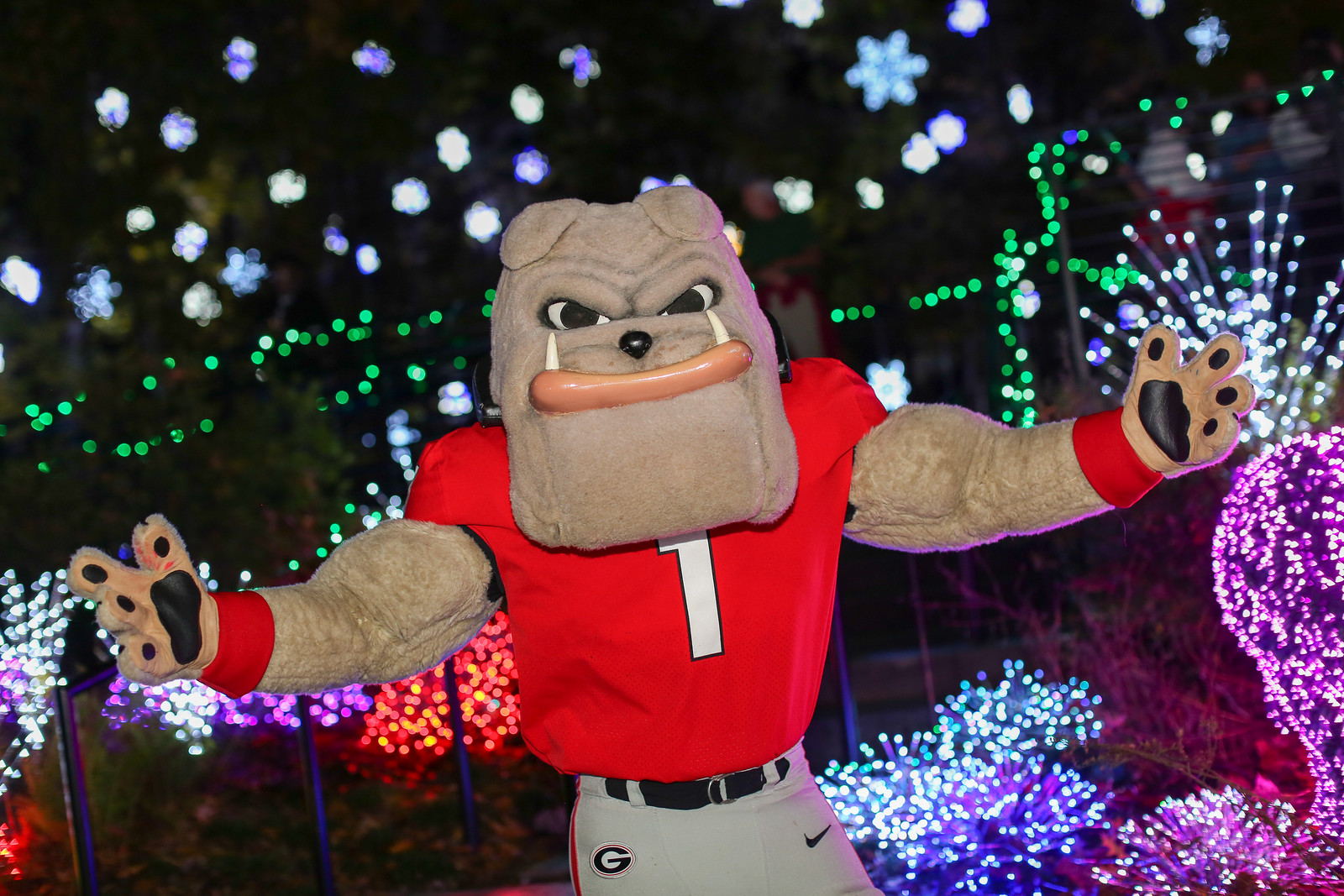 Winter WonderLights