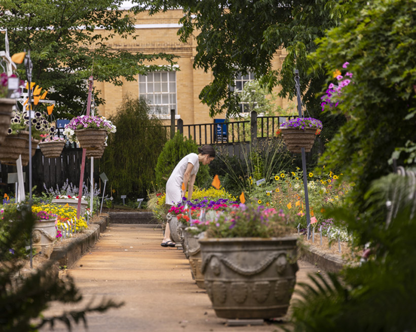 Trial Gardens at UGA Campus