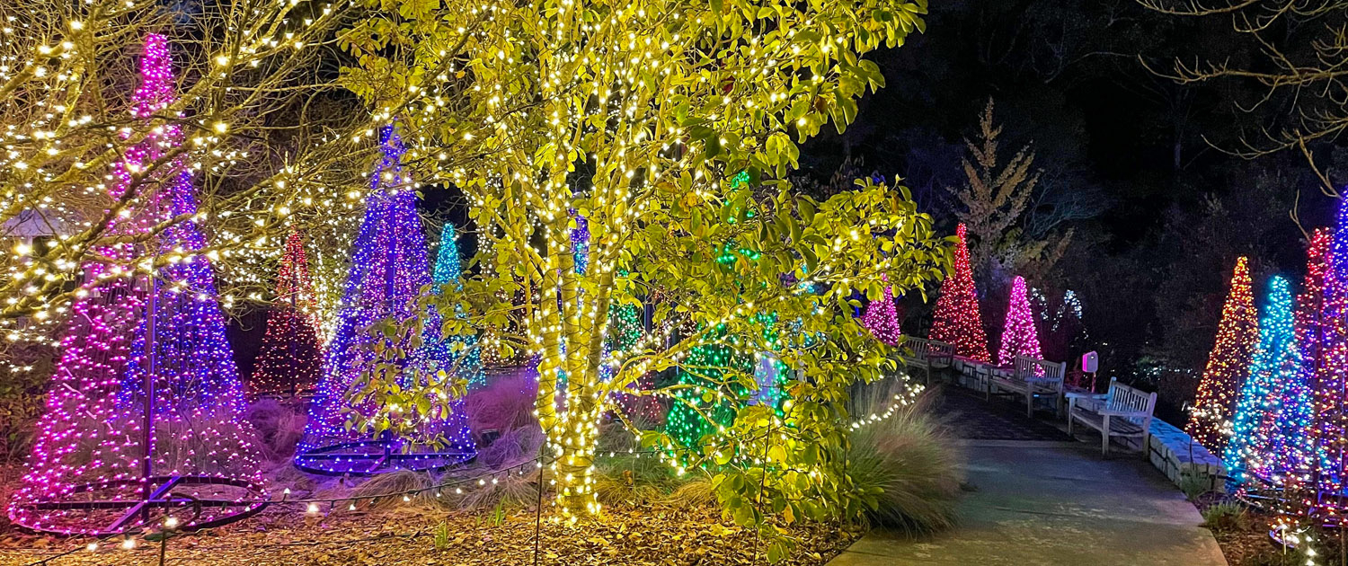 Winter WonderLights