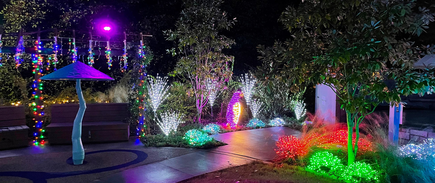 Winter WonderLights in Athens, GA