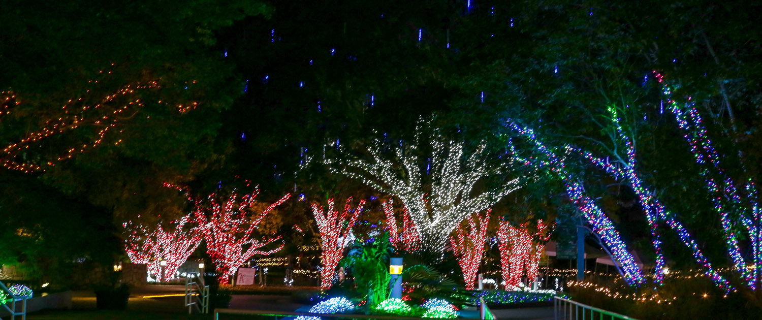Winter WonderLights