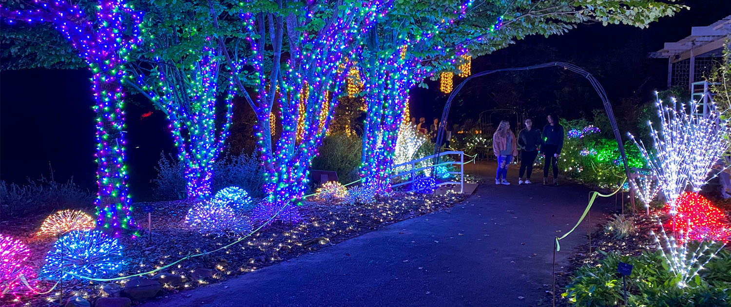 Winter Wonderlights at the UGA Botanical Gardens