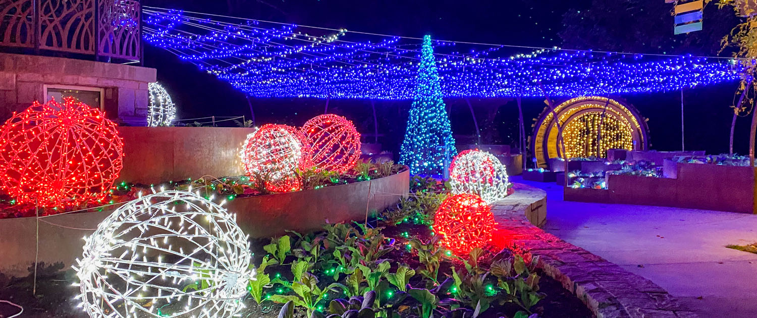 Winter Wonderlights at the UGA Botanical Gardens children's area