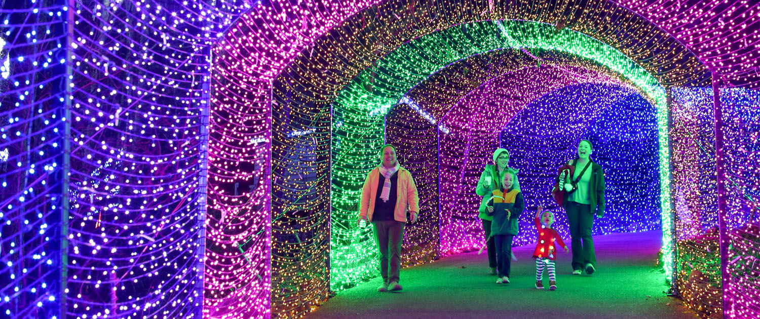 Winter Wonderlights light tunnel at the UGA Botanical Gardens