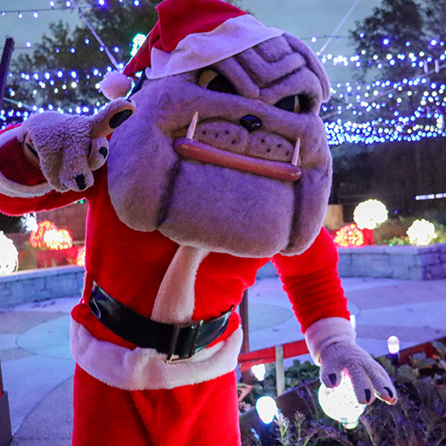 WinterWonderlights Special Package at the UGA Hotel