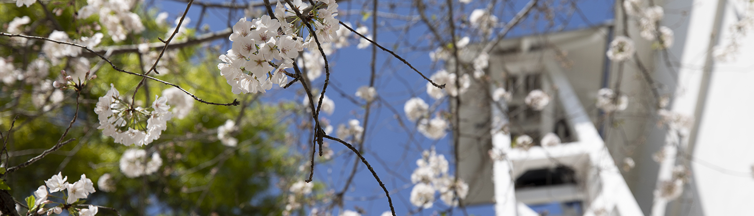 Spring in Athens, GA a the UGA Hotel